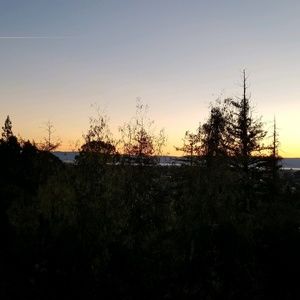 Meet your Posher, Kimiko